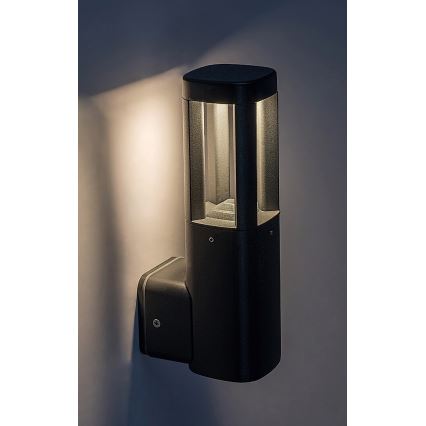 Rabalux - LED Outdoor wall light LED/7W/230V IP54 anthracite