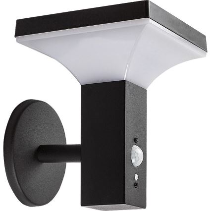 Rabalux - LED Solar wall light with sensor LED/4W/230V IP44 black 2200 mAh