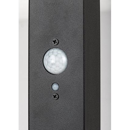 Rabalux - LED Solar lamp with sensor LED/4W/3,7V IP44 black