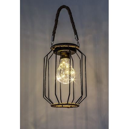 Rabalux - LED Solar light LED/0,2W/1,2V IP44