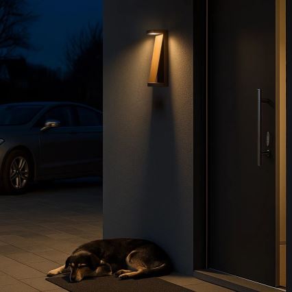 Rabalux - LED Outdoor Wall Light LED/13W/230V IP65 Brown