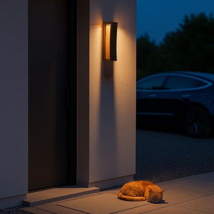 Rabalux - LED Outdoor Wall Light LED/13W/230V IP65 Brown