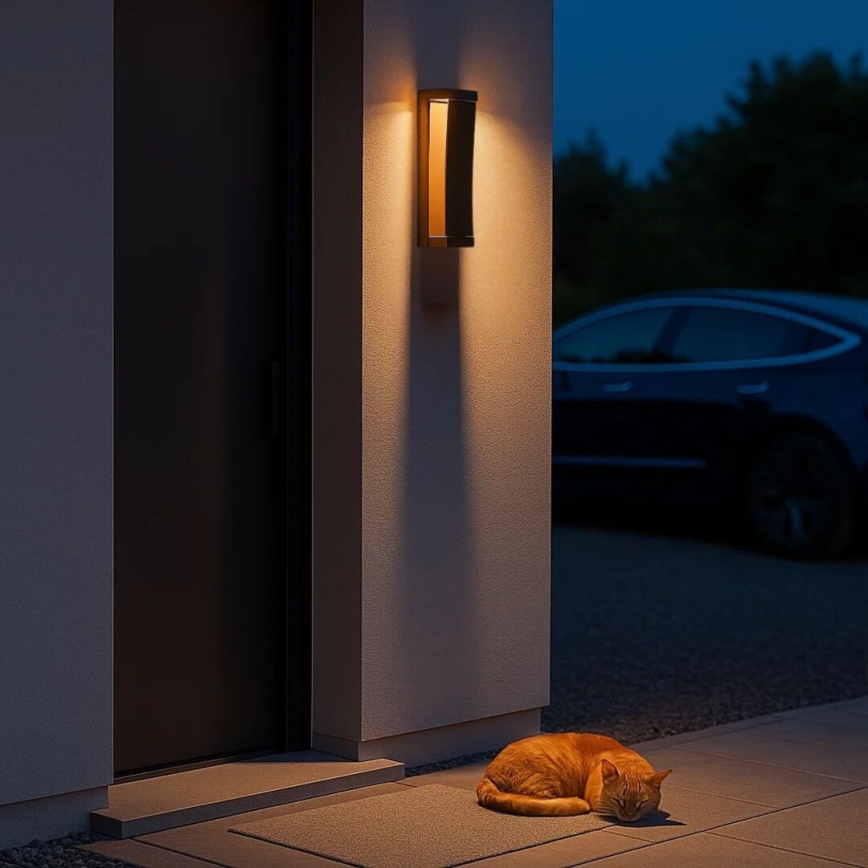 Rabalux - LED Outdoor Wall Light LED/13W/230V IP65 Brown
