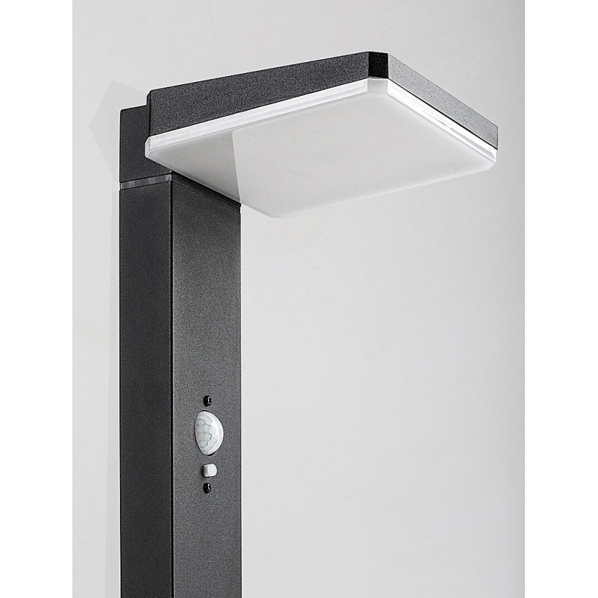 Rabalux - Dimmable LED Solar Outdoor Lamp with Sensor, 4.4 W / 3.7 V, IP54, Anthracite, 2200 mAh