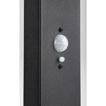 Rabalux - Dimmable LED Solar Outdoor Lamp with Sensor, 4.4 W / 3.7 V, IP54, Anthracite, 2200 mAh