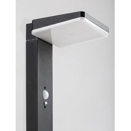 Rabalux - LED Dimmable solar outdoor lamp with sensor LED/4,4W/3,7V IP54 anthracite 2200 mAh