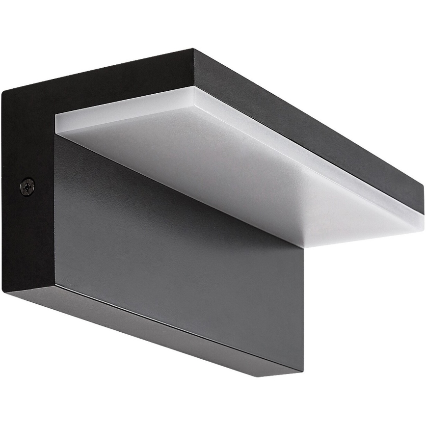 Rabalux - LED Outdoor wall light LED/10W/230V IP54 black