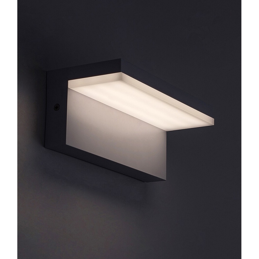 Rabalux - LED Outdoor wall light LED/10W/230V IP54 white