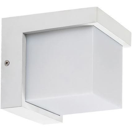 Rabalux - LED Outdoor wall light LED/10W/230V IP54 white