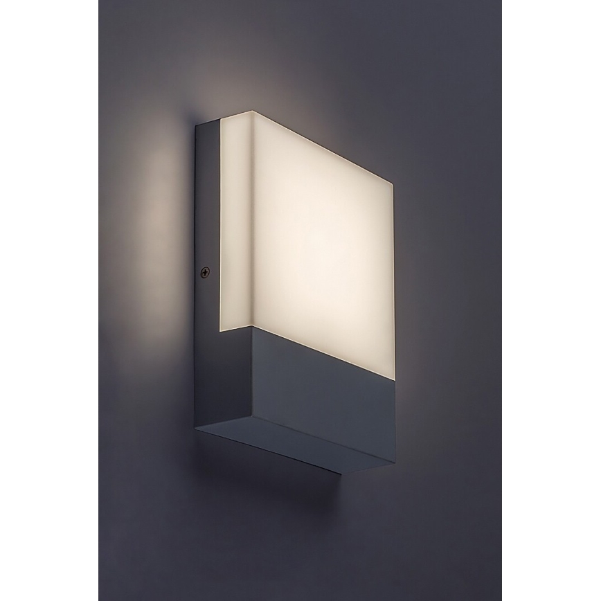 Rabalux - LED Outdoor wall light LED/10W/230V IP44 white