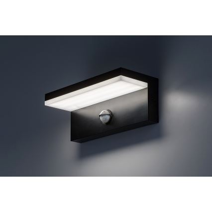 Rabalux - LED Outdoor wall light with a sensor LED/9W/230V 2700/4000/6500K IP54 black