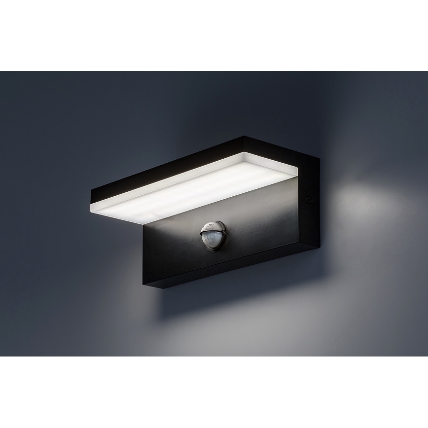 Rabalux - LED Outdoor wall light with a sensor LED/9W/230V 2700/4000/6500K IP54 black