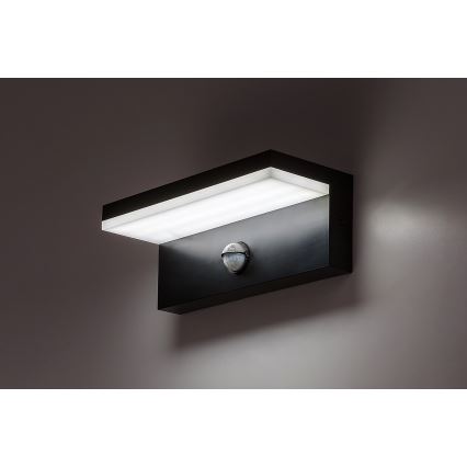 Rabalux - LED Outdoor wall light with a sensor LED/9W/230V 2700/4000/6500K IP54 black