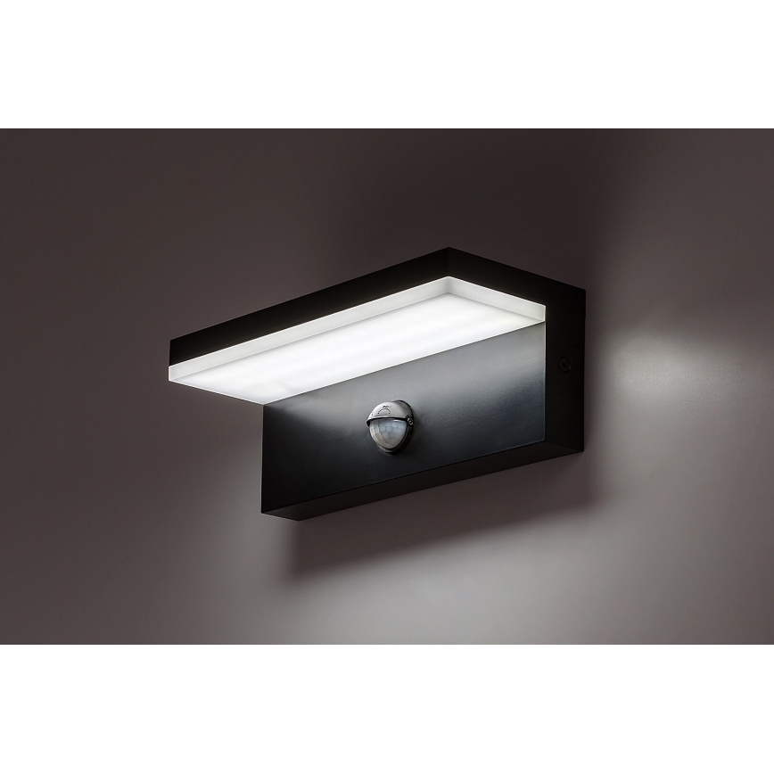 Rabalux - LED Outdoor wall light with a sensor LED/9W/230V 2700/4000/6500K IP54 black