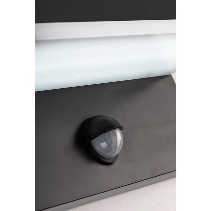 Rabalux - LED Outdoor wall light with a sensor LED/9W/230V 2700/4000/6500K IP54 black