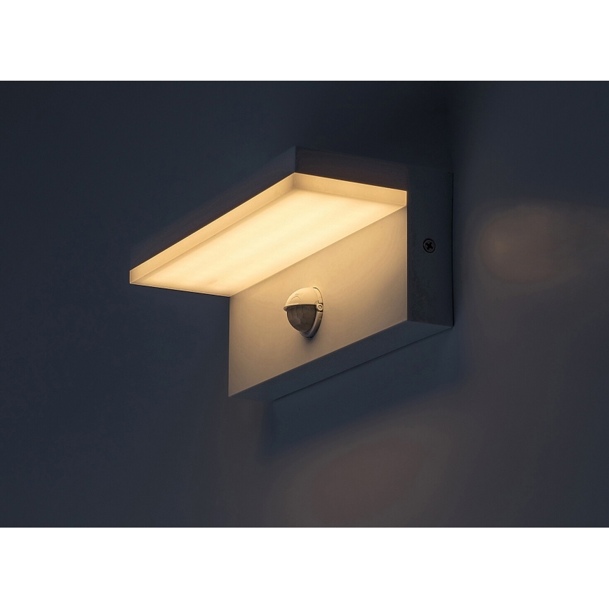 Rabalux - LED Outdoor wall light with a sensor LED/9W/230V 2700/4000/6500K IP54 white