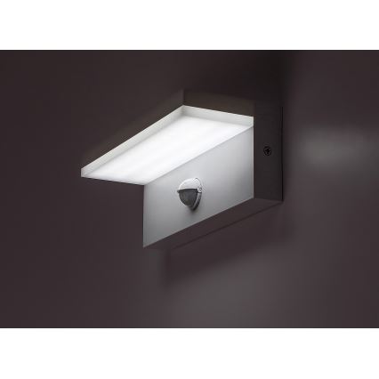 Rabalux - LED Outdoor wall light with a sensor LED/9W/230V 2700/4000/6500K IP54 white