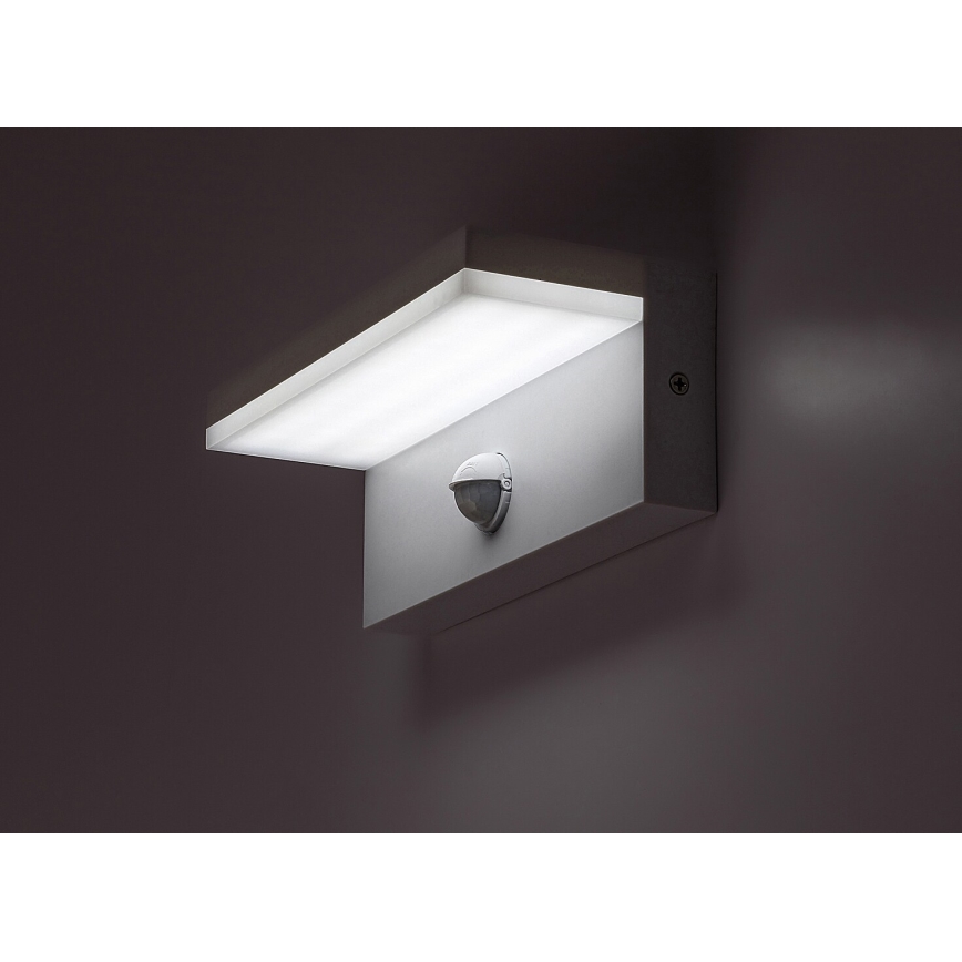 Rabalux - LED Outdoor wall light with a sensor LED/9W/230V 2700/4000/6500K IP54 white