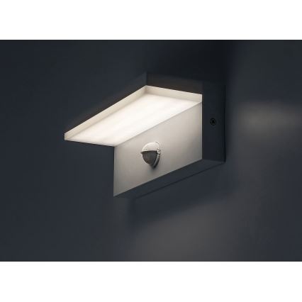 Rabalux - LED Outdoor wall light with a sensor LED/9W/230V 2700/4000/6500K IP54 white