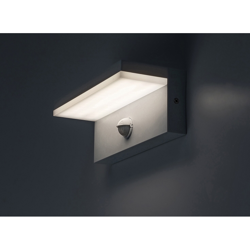Rabalux - LED Outdoor wall light with a sensor LED/9W/230V 2700/4000/6500K IP54 white
