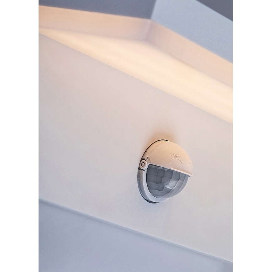Rabalux - LED Outdoor wall light with a sensor LED/9W/230V 2700/4000/6500K IP54 white