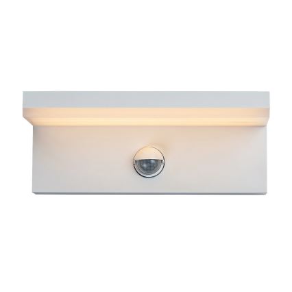 Rabalux - LED Outdoor wall light with a sensor LED/9W/230V 2700/4000/6500K IP54 white