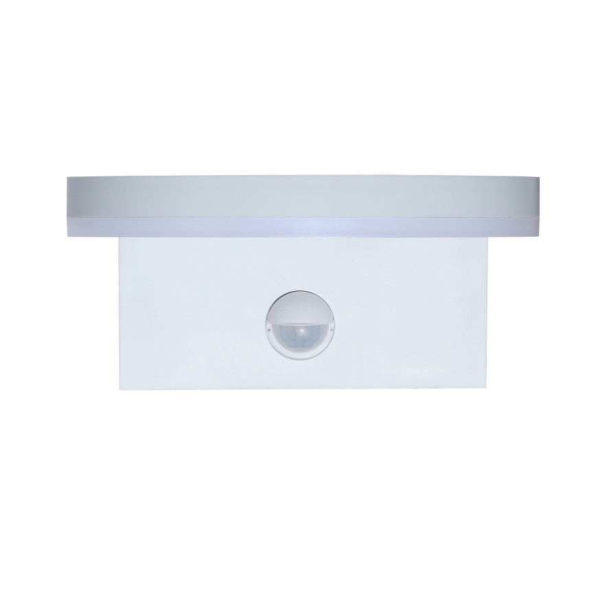 Rabalux - LED Outdoor wall light with a sensor LED/9W/230V 2700/4000/6500K IP54 white