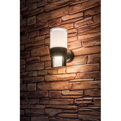 Rabalux - LED Outdoor wall light LED/12W/230V IP44