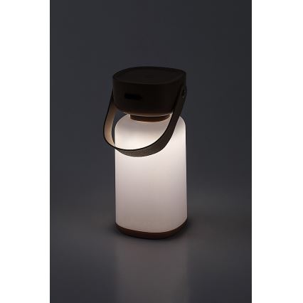 Rabalux - LED Outdoor dimmable touch rechargeable table lamp LED/3W/5V IP44 brown