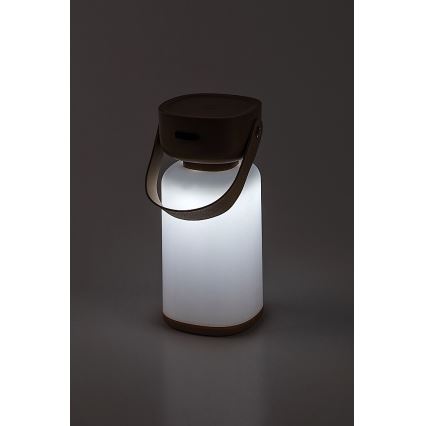 Rabalux - LED Outdoor dimmable touch rechargeable table lamp LED/3W/5V IP44 brown