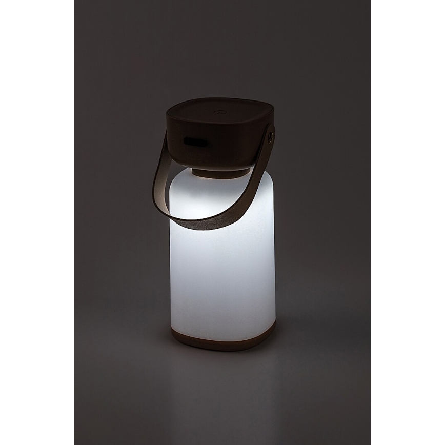 Rabalux - LED Outdoor dimmable touch rechargeable table lamp LED/3W/5V IP44 brown