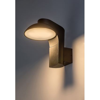 Rabalux - LED Outdoor wall light LED/12W/230V IP54