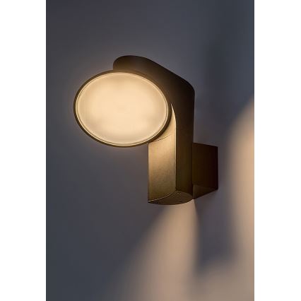 Rabalux - LED Outdoor wall light LED/12W/230V IP54