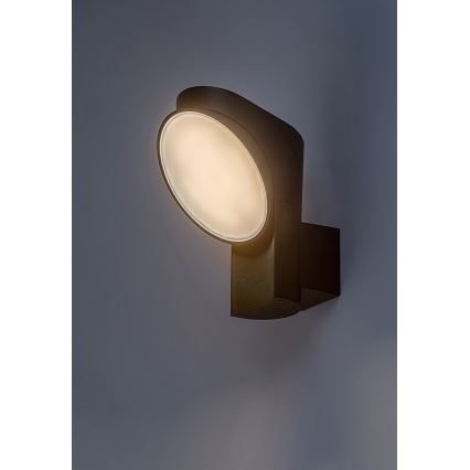 Rabalux - LED Outdoor wall light LED/12W/230V IP54