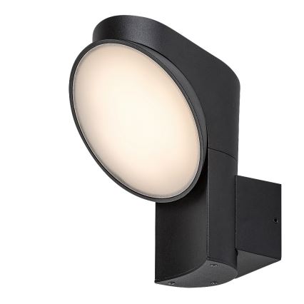 Rabalux - LED Outdoor wall light LED/12W/230V IP54