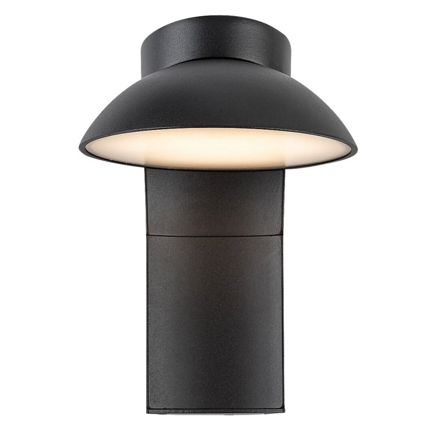 Rabalux - LED Outdoor wall light LED/12W/230V IP54