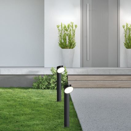 Rabalux - LED Outdoor lamp LED/12W/230V IP54
