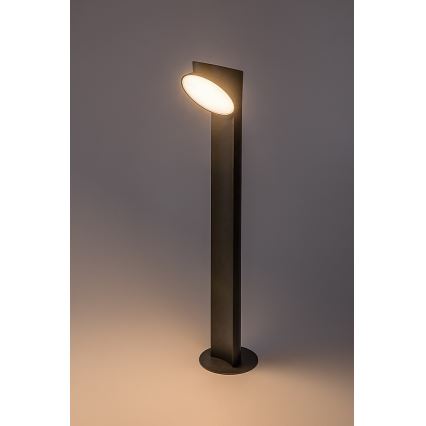 Rabalux - LED Outdoor lamp LED/12W/230V IP54