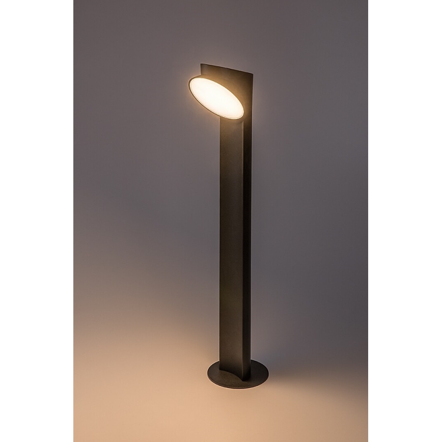 Rabalux - LED Outdoor lamp LED/12W/230V IP54