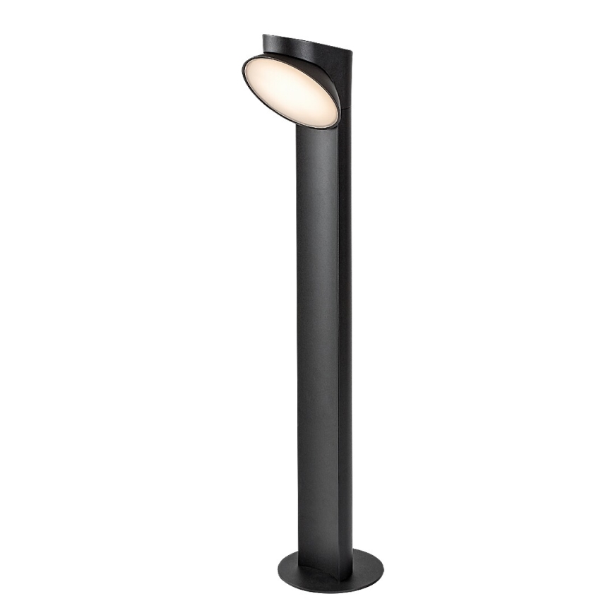 Rabalux - LED Outdoor lamp LED/12W/230V IP54