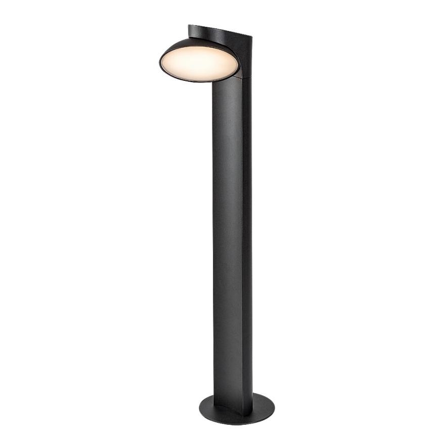 Rabalux - LED Outdoor lamp LED/12W/230V IP54