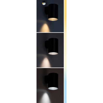 Rabalux - LED Outdoor wall light LED/9W/230V 2700/4000/6500K IP65 white