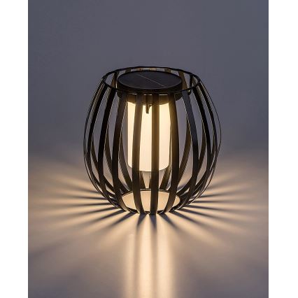 Rabalux - LED Solar light LED/1W/1,2V 300mAh IP44