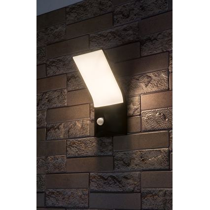 Rabalux - LED Outdoor wall light with a sensor LED/10W/230V IP54