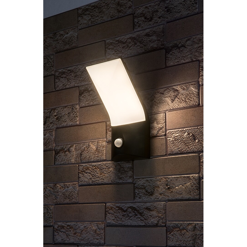 Rabalux - LED Outdoor wall light with a sensor LED/10W/230V IP54