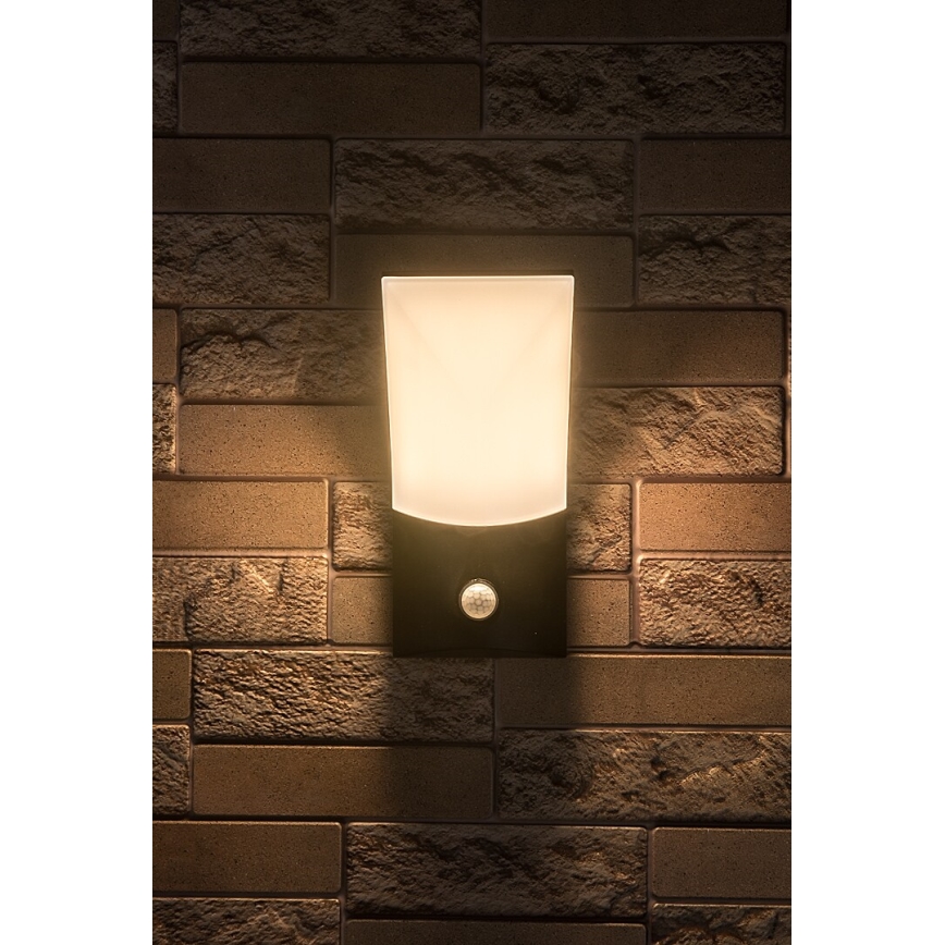 Rabalux - LED Outdoor wall light with a sensor LED/10W/230V IP54