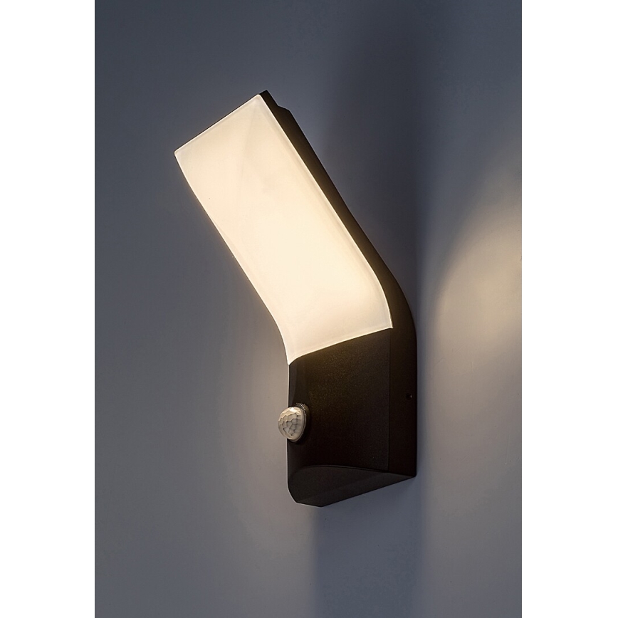 Rabalux - LED Outdoor wall light with a sensor LED/10W/230V IP54