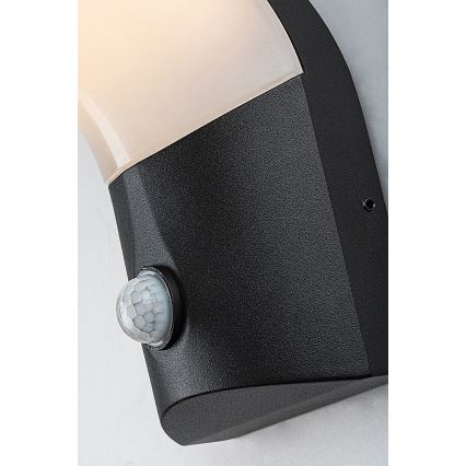 Rabalux - LED Outdoor wall light with a sensor LED/10W/230V IP54