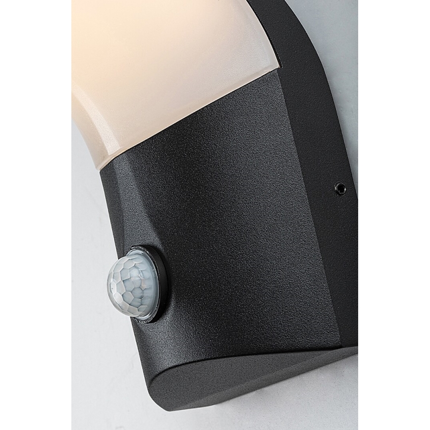 Rabalux - LED Outdoor wall light with a sensor LED/10W/230V IP54