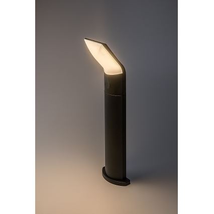 Rabalux - LED Outdoor lamp LED/10W/230V IP54